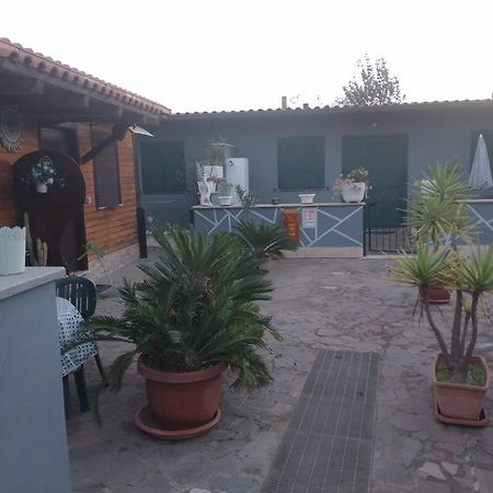 Aquila Di Mare Villa Fiumicino Cameră foto